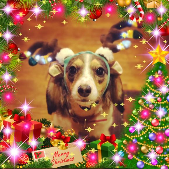 Meet your Posher, Tiffany - Picture 1 of 1